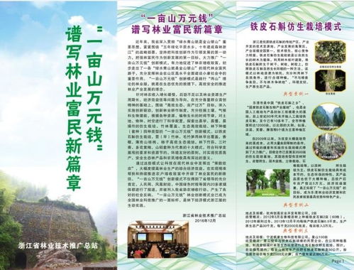 浙江省林业技术推广总站的使命与实践 架起科技与林农的桥梁